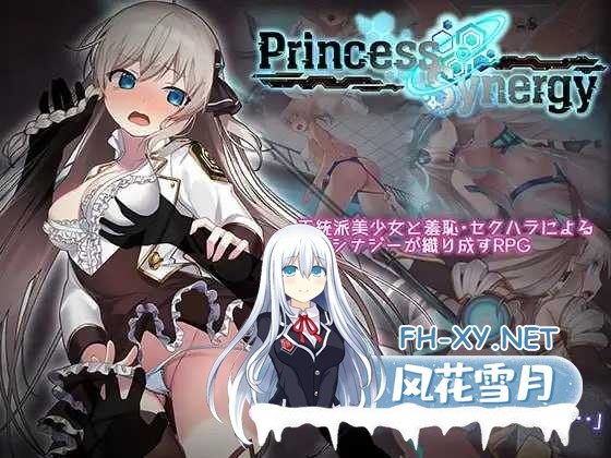 [神级RPG/汉化/动态]公主协同效应/Princess Synergy Ver1.02 AI汉化正式版[PC/2.6G]-1.png