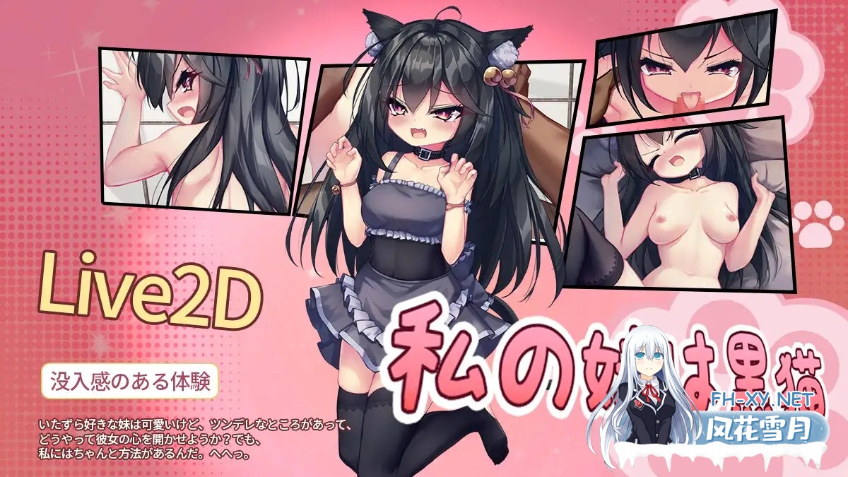 [互动SLG/官中/猫耳/同居/侍女/PC]我的妹妹是只黑猫 私の妹は黒猫 官方中文版[150M]-5.jpg