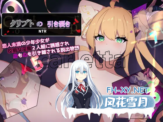 [RPG/PC/官中] 暗号撕裂 部分无码官方中文版 [665M/夸克]-1.png