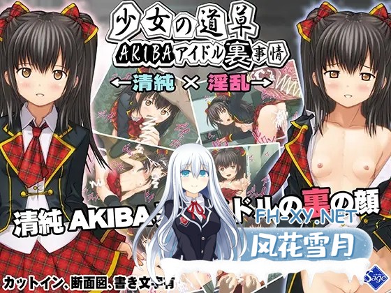 [ADV/机翻+AI汉化/萝莉/口交/中出/强X/多P][RJ01335317/Sage社团]少女的闲逛~秋叶原偶像内幕-堕落偶像秘密营业-～/少女の道草～AKIBAアイドル裏事情 -闇...-2.jpg