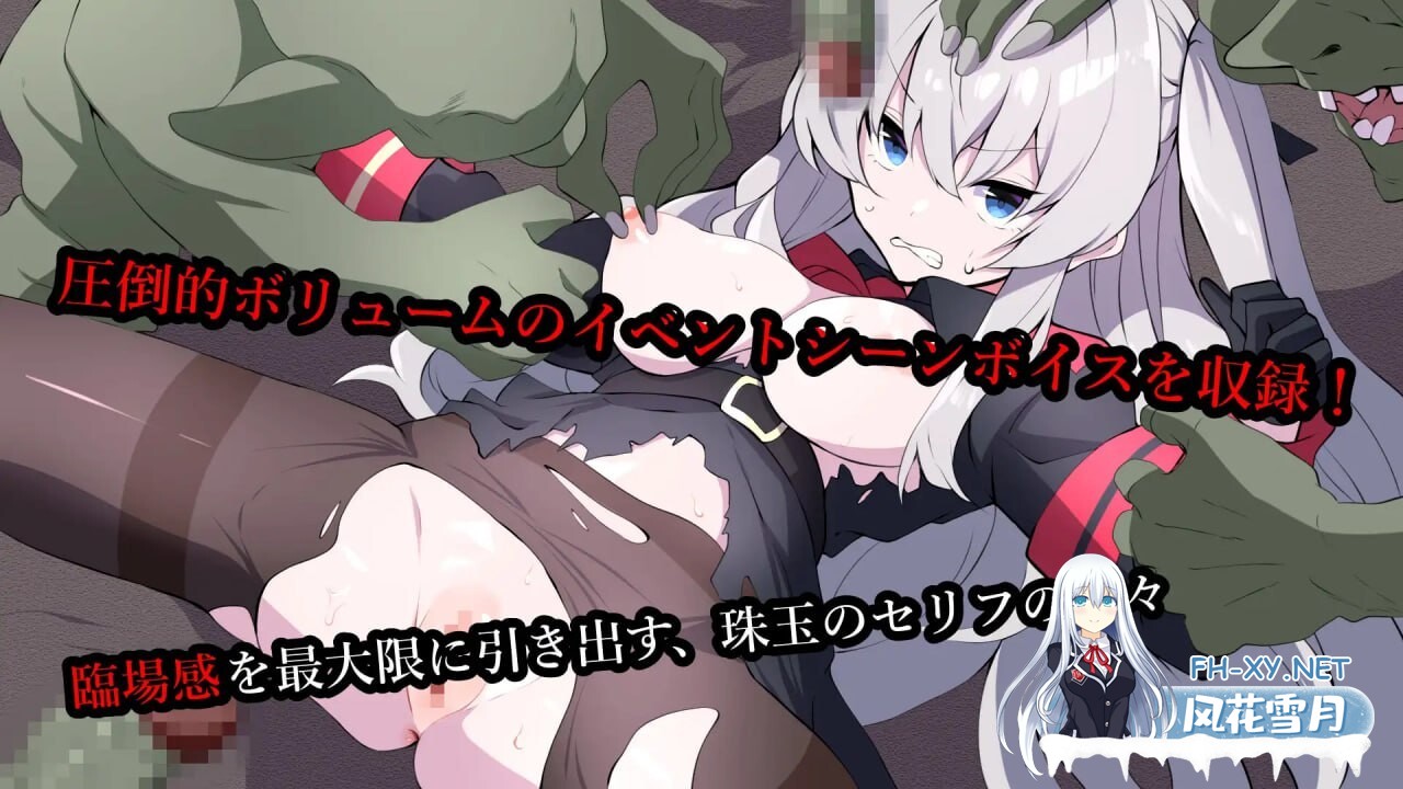 [射击TPS/异种X/新作/PC] 塞尔贝莉亚的奋战 セルベリアの奮戦 机翻汉化 [400M]-1.jpg