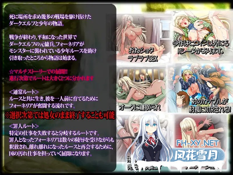 [RPG/STEAM官中/全动态/露出/NTR/巨乳][RJ173356/ONEONE1社团]暗精灵编年史/ダークエルフのヒストリア[Ver1.02][PC/1.5G]-2.jpg