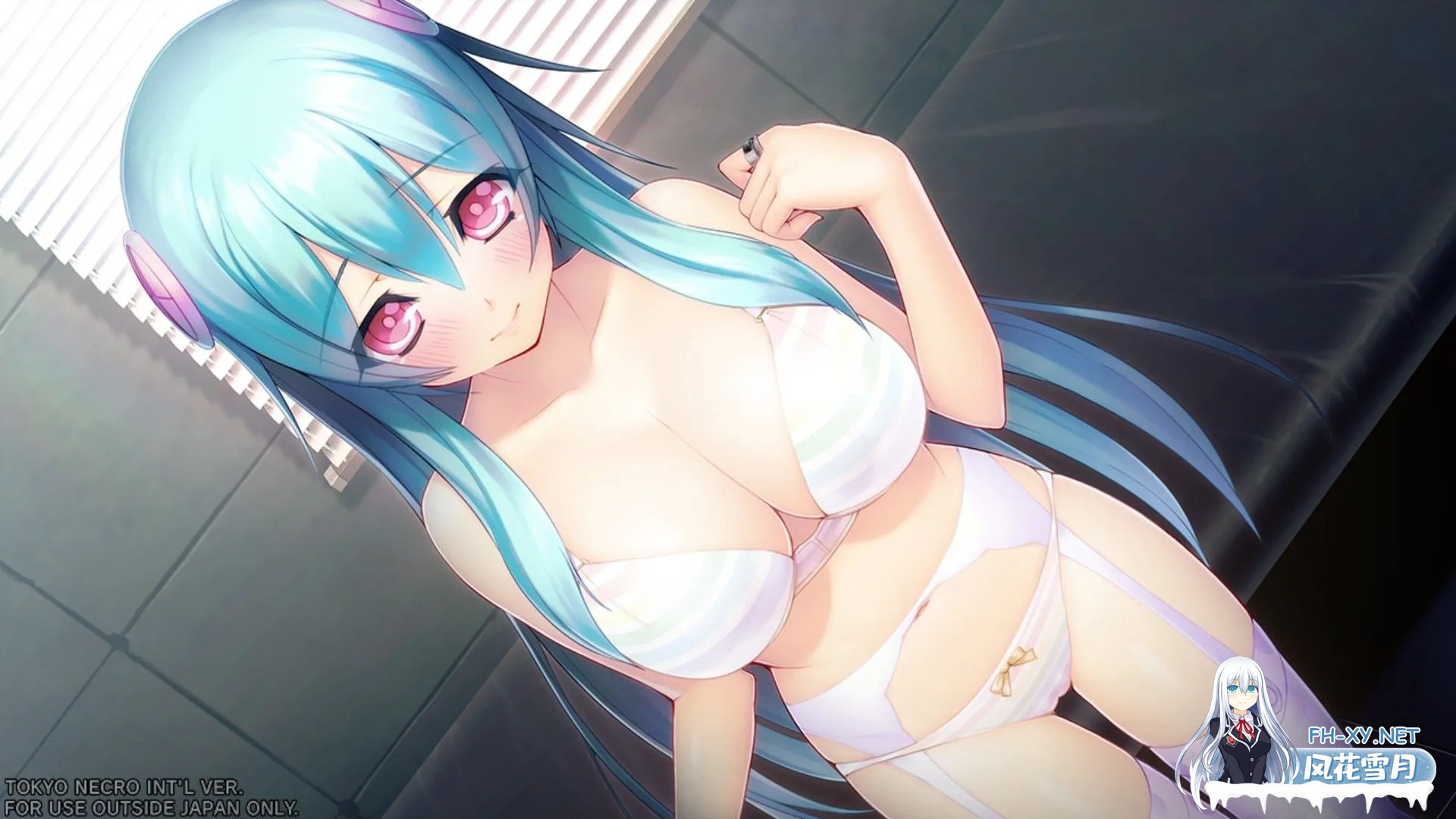 [日式RPG/动态/离线版] 凍京NECRODMM离线版 汉化版+全CG存档 [8.80G]-1.jpg