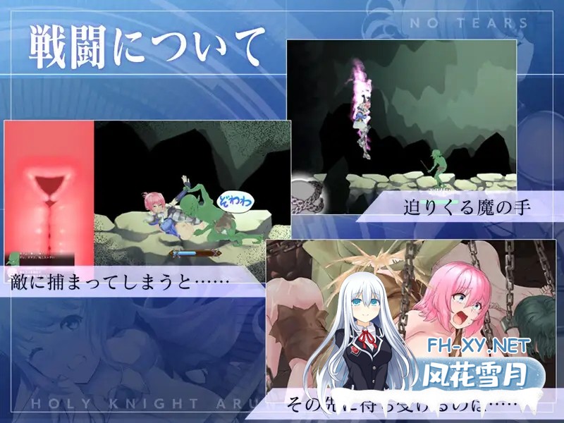 (补)[ACT/动态/DL官中/幻想/NTR/中出/巨乳/更新][RJ319122/NoTears社团]圣骑士阿尔内与魔孕的咒印/聖騎士アルネと魔孕の呪印～Another No Tears～[Ver1.0.10][PC...-3.jpg