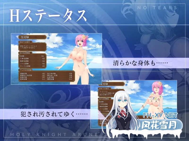 (补)[ACT/动态/DL官中/幻想/NTR/中出/巨乳/更新][RJ319122/NoTears社团]圣骑士阿尔内与魔孕的咒印/聖騎士アルネと魔孕の呪印～Another No Tears～[Ver1.0.10][PC...-7.jpg