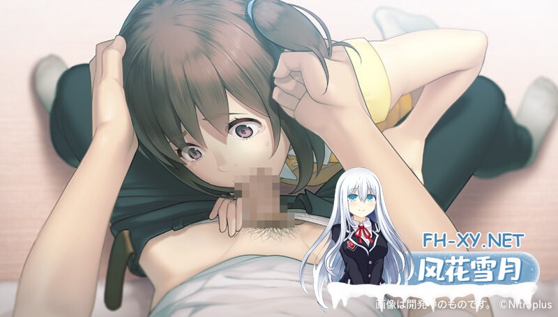 （补）[心身視姦ADV/STEAM官中/动态/步兵][NitroPlus] 丑小鸭与文字祸/みにくいモジカの子[+全CG存档][PC/4G]-1.jpg