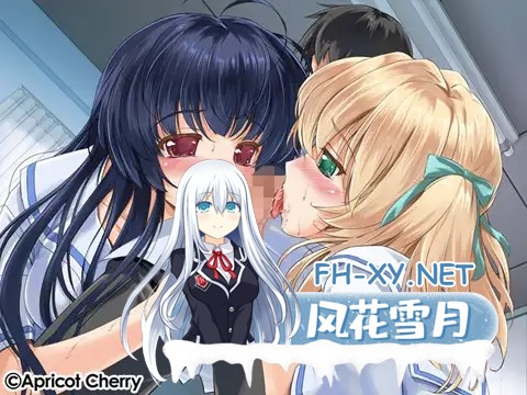 [ADV/制服/口交/肛交/巨乳/处女/SM/AI汉化][VJ006562/ApRicoT Cherry]EM女孩姐妹/えむっ娘シスターズ[PC/3.10G]-10.jpg