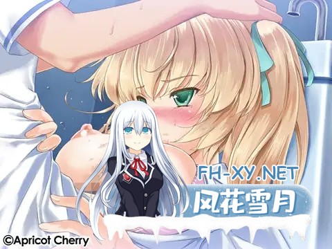 [ADV/制服/口交/肛交/巨乳/处女/SM/AI汉化][VJ006562/ApRicoT Cherry]EM女孩姐妹/えむっ娘シスターズ[PC/3.10G]-9.jpg