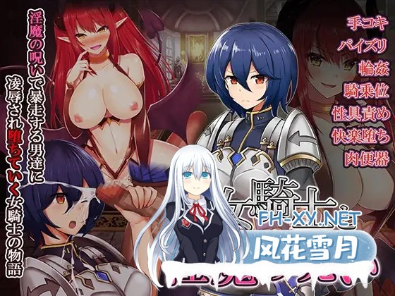 [RPG/侵犯/恶堕/精翻汉化/反向奸/口交][RJ248053/WINDWAVE社团]女骑士与银魔诅咒~用身体抑制大家的诅咒吧！/女騎士と淫魔の呪い[PC/300M]-2.jpg