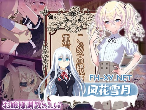[日式SLG/更新] 懵懂无知的大小姐 このお嬢様、無知につき Ver5 V1.2.3 AI汉化版 [1.30G]-3.jpg