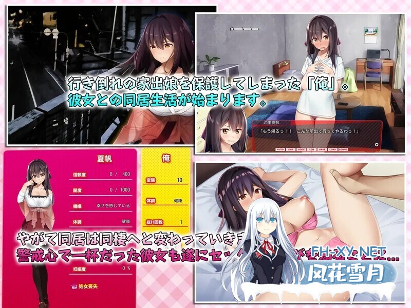 [SLG/动态]离家出走的少女与我 シロウト家出娘と俺 v1.05 DL官方中文版[2.0G]-5.jpg