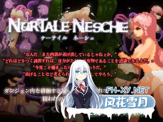 更新[动作ACT/官中/动态]纳泰尔・奈舍（ナーテイル・ネーシェ）V1.0.3.0 DL官方中文班[PC/1.4G]-1.jpg