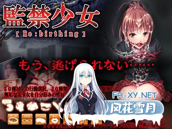 [SLG/2D] 监禁少女:Re birthing +攻略 [2.8G]-3.jpg