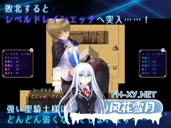[日系RPG/官中/小马拉大车/PC+安卓joi]圣骑士大人与魅魔从者 聖騎士様とサキュバス従者 Ver1.02 官方中文版[1.12G]-8.jpg