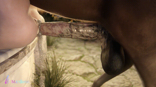 1473144c97d4a97ec.gif