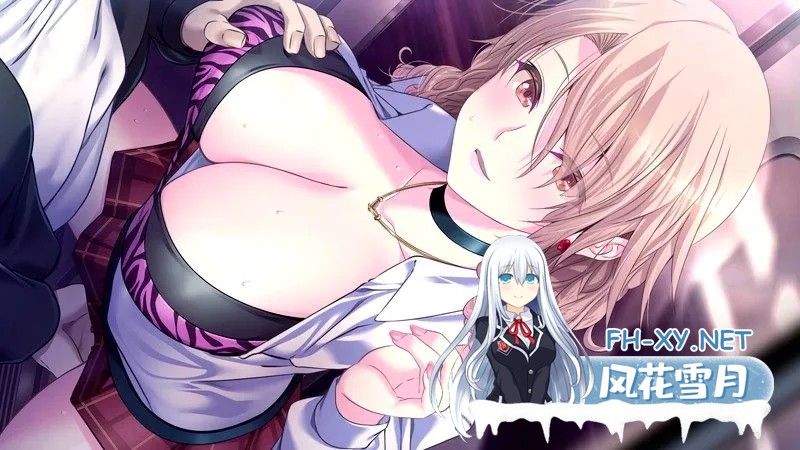 [ADV/汉化/巨乳/乳交/口交]极限痴汉特异点NEO/極限痴漢特異点ＮＥＯ[Ver1.01 通常版+后宫补丁][PC/4.66G]-5.jpg