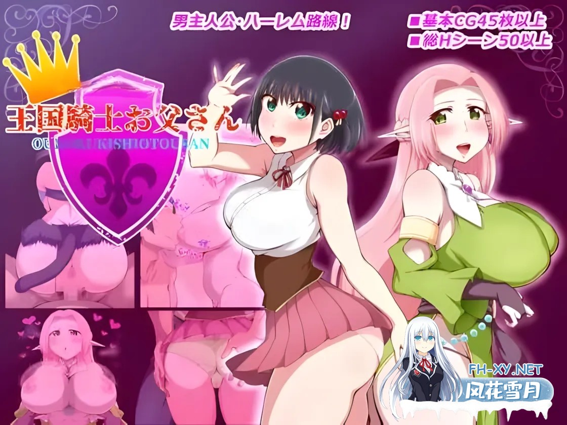 [日系RPG/汉化/NTR]王国骑士老爸 王国騎士お父さん ver1.01 Mtool汉化[1.55G]-4.jpg