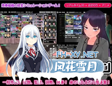 PC推荐[3D互动经营调教养成SLG动态步兵]诱拐城镇 诱惑之城 ウラレタウン Ver1.24 精翻汉化版+通关存档+DLC[300M]百度/迅雷/夸克/UC-1.jpg