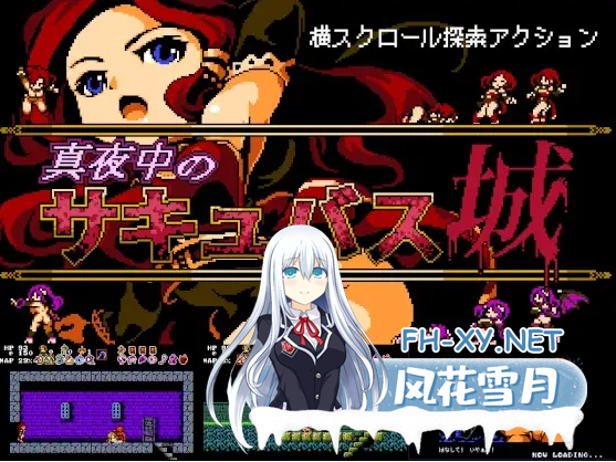 [ACT/STEAM官中/步兵/像素/多P/巨乳/触手]午夜银魔城~/Midnight Castle Succubus[Ver1.14s][PC/200M]-3.png