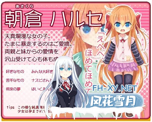 [RPG/机翻/PC] 孕辱女英雄 v1.14 孕辱ヒロインズ [3.84G]-3.jpg
