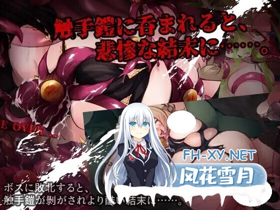 [RPG/内嵌AI汉化/双端] 触手铠甲与神秘之塔 v1.0 触手鎧と神秘の塔 [786M]-4.jpg