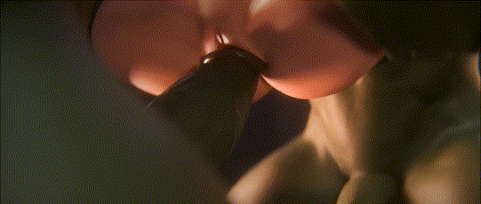 [3D]YOR FORGER Secret [993.0MB]-3.gif