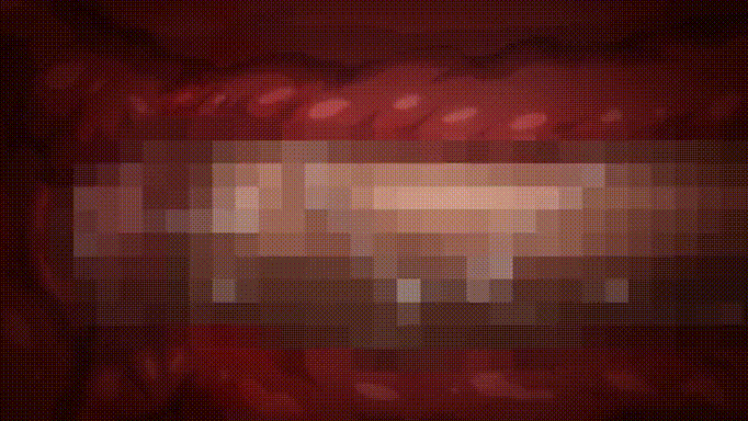 2 (9).gif