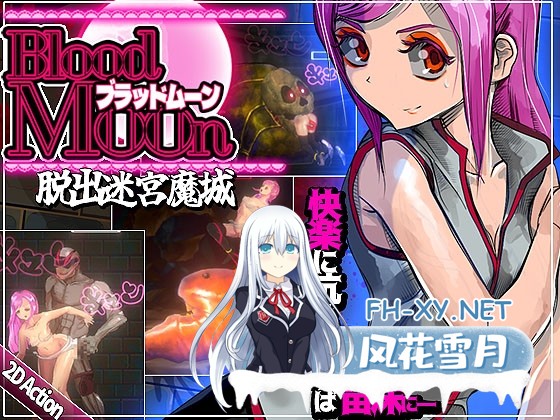 [ACT/官中/动态]血月：逃离迷宫魔城/ブラッドムーン 脱出迷宮魔城 官方中文版[PC/430M]-1.jpg