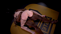 [3D]Fighting [2546.0MB]-1.gif