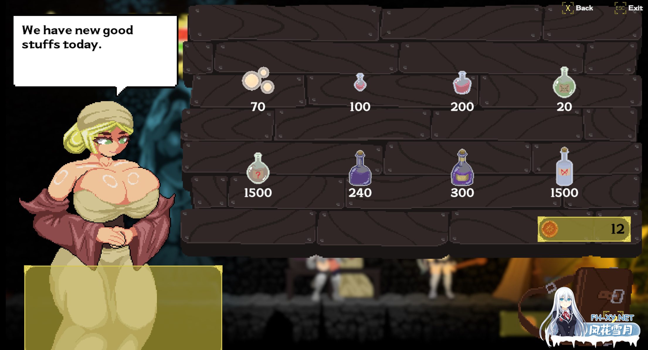 [ACT/生肉/像素/巨乳/2D]艾丽卡：太阳骑士/Erica: Knight of the sun[Ver0.1.3][PC/900M]-3.png