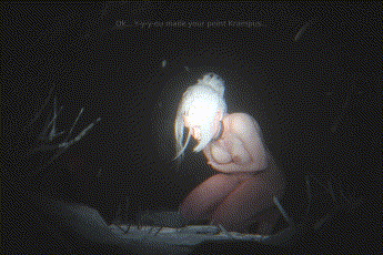 [3D]黎明杀机-赛布尔-兽交 [172.3MB]-1.gif