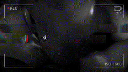 PROJECT26（4k）尼尔2B-媚黑婊子 [3D]-4.gif