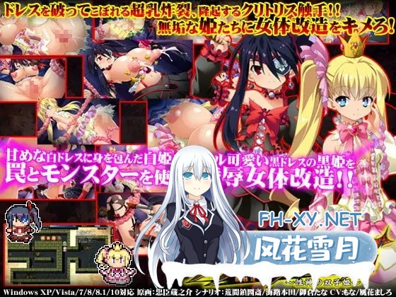 [RPG/肛交/触手/羞辱/AI汉化][RJ170963/モニスタラッシュ/a Matures社团]献祭迷宫 ~ 性神的双子姬 ~/サクリファイスメイズ～性神の双子姫～[Ver.1.04][PC/1...-4.jpg